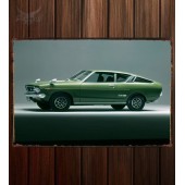 Металлическая табличка Datsun Sunny Excellent GX Coupe (PB210)